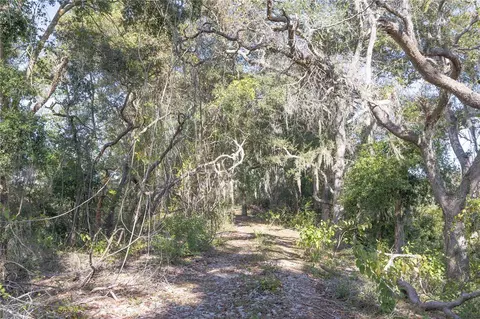 tbd Cr 673, Webster, FL 33597 photo 17