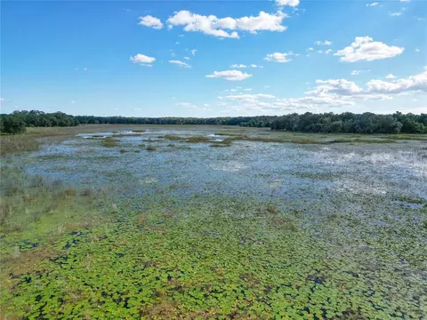 tbd Cr 673, Webster, FL 33597 photo 11