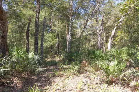 tbd Cr 673, Webster, FL 33597 photo 52