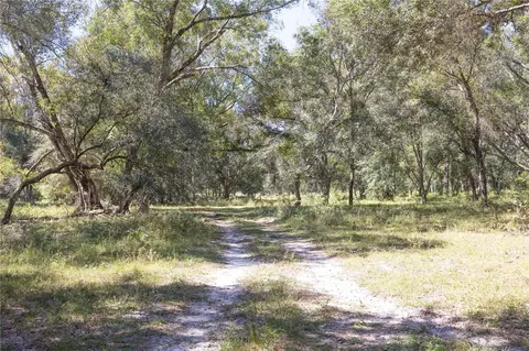 tbd Cr 673, Webster, FL 33597 photo 51