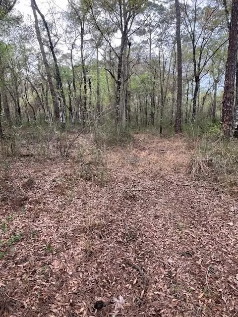 00 Packingham Dr, Webster, FL 33597