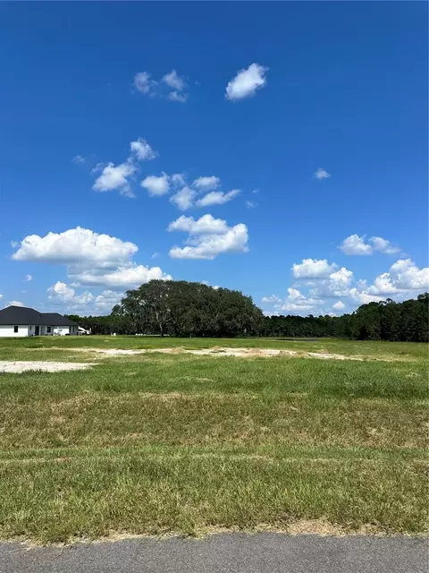 20276 Shoreline Ranch Ln, Umatilla, FL 32784