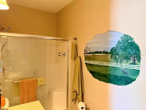 9588 SE 47th Way, Webster, FL 33597 photo 23