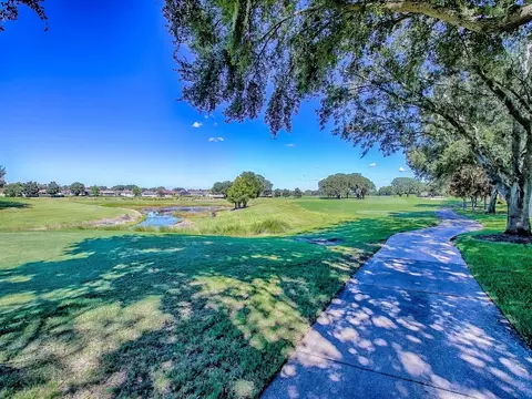 17627 SE 88th Covington Cir, The Villages, FL 32162