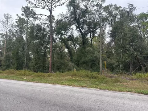 8723 N Alameda Dr, Dunnellon, FL 34434