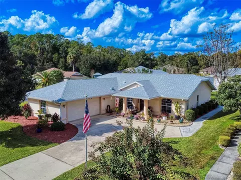 2533 E Chivalry Ct, Hernando, FL 34442 photo 1