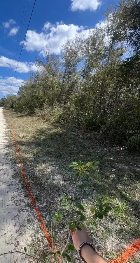 7143 Alloy St, Webster, FL 33597