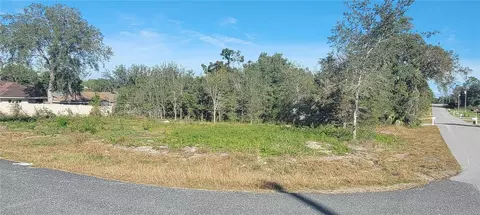 000 SE 88th Ave, Summerfield, FL 34491