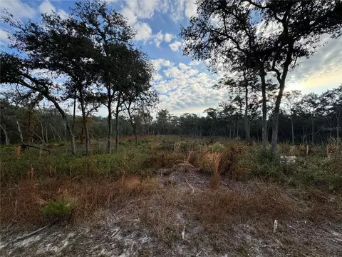 8186 Gidding Ln, Webster, FL 33597