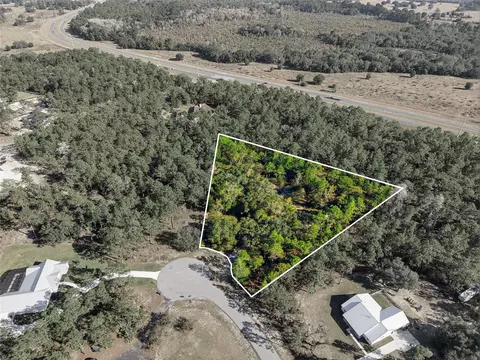 1811 County Road 243d, Wildwood, FL 34785