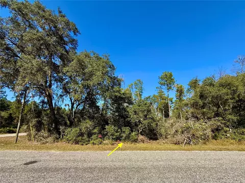 lot11 Tulip Ave, Eustis, FL 32736