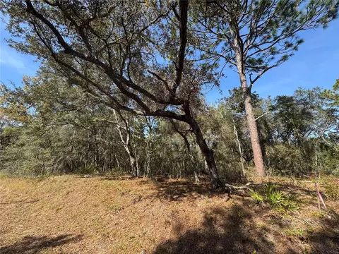 SE 115 Place Road, Ocklawaha, FL 32179
