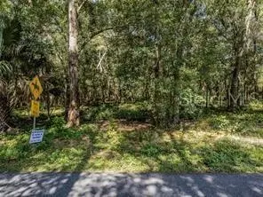 Huff Road, Eustis, FL 32726 photo 4