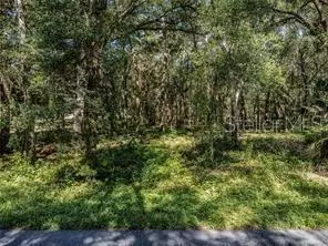 Huff Road, Eustis, FL 32726 photo 6