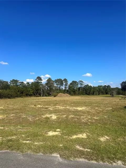 38553 Wooded Meadow Dr, Umatilla, FL 32784
