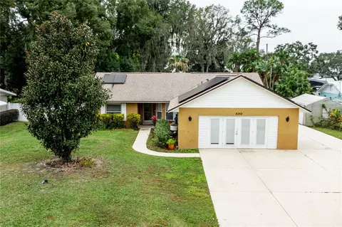 4242 Cactus Ln, Mount Dora, FL 32757
