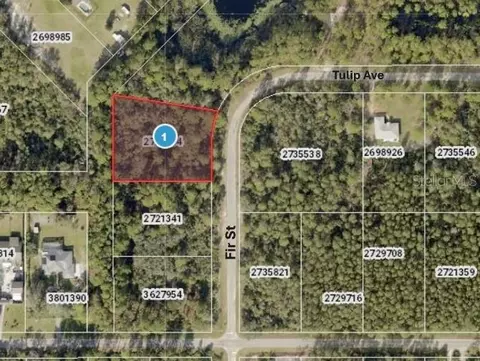 Tulip Avenue, Eustis, FL 32736