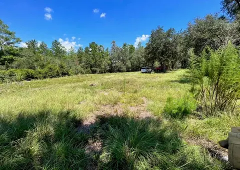 Steward Road, Eustis, FL 32726 photo 2