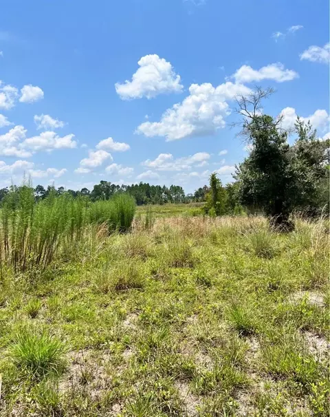 Steward Road, Eustis, FL 32726