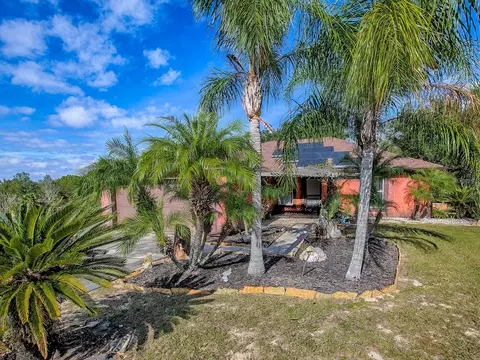 14906 Windy Mount Cir, Clermont, FL 34711