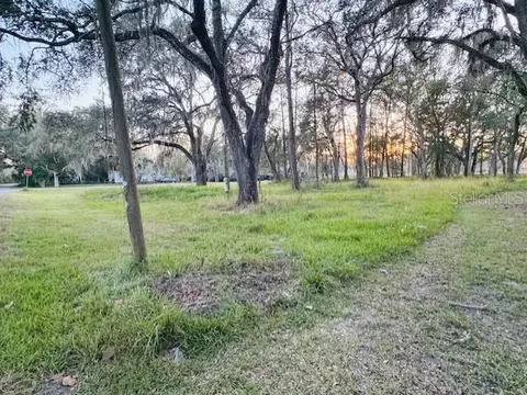 17481 Celia Ave, Brooksville, FL 34604