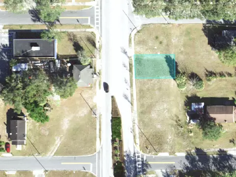 Martin Luther King Jr Avenue N, Lakeland, FL 33805