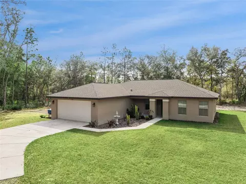 33134 Easter Dr, Webster, FL 33597