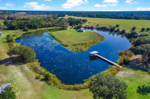 View/Area - 39320 Lake Norris Rd, Eustis, FL 32736 photo 3 of 11