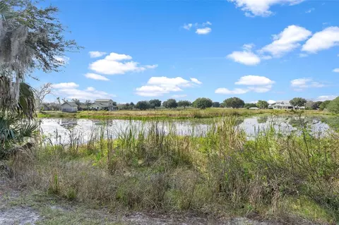 View/Area - 39320 Lake Norris Rd, Eustis, FL 32736 photo 9 of 11