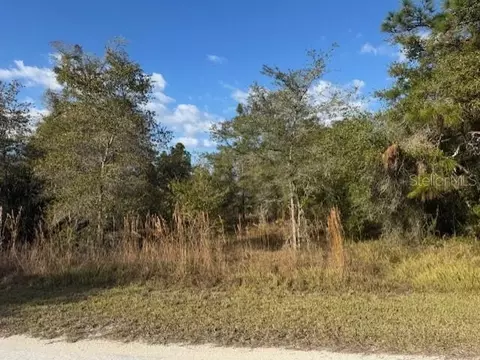 35361 Kramer St, Webster, FL 33597