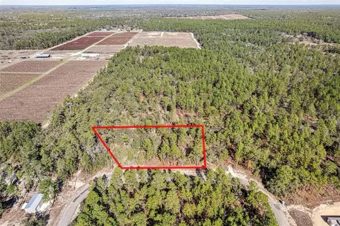 8949 N Farrington Dr, Citrus Springs, FL 34433