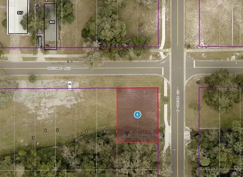 tbd N Exeter St, Eustis, FL 32726