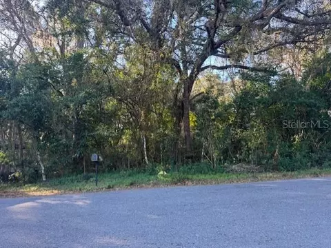 4547 Cr 692, Webster, FL 33597 photo 19