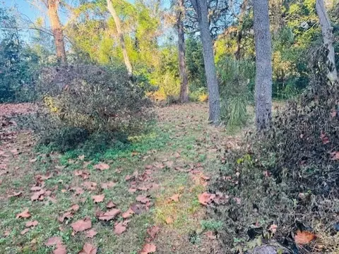 4547 Cr 692, Webster, FL 33597 photo 3