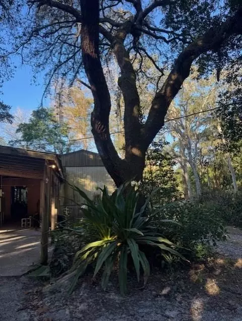 4547 Cr 692, Webster, FL 33597 photo 18