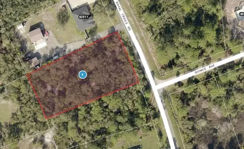 42475 Royal Trails Rd, Eustis, FL 32726