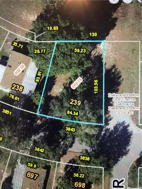 3843 N Citrus Cir #239, Zellwood, FL 32798