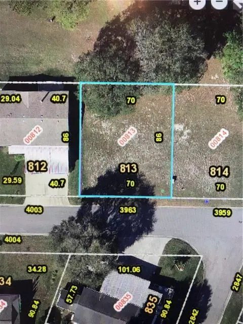 3963 Greenbluff Rd #813, Zellwood, FL 32798