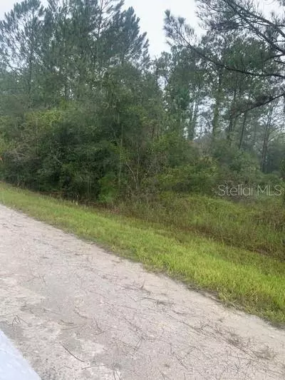 tbd Otter Dr, Webster, FL 33597 photo 1