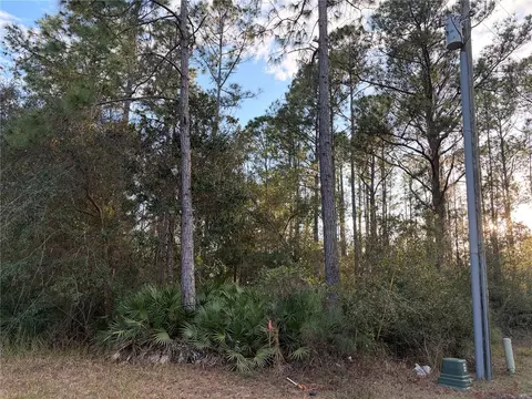 Oil Well Road, Clermont, FL 34714