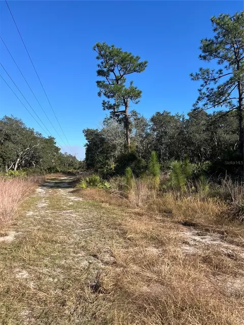 Sunrise Boulevard, Mount Dora, FL 32757 photo 2
