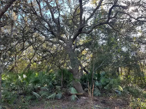 Sunrise Boulevard, Mount Dora, FL 32757 photo 3