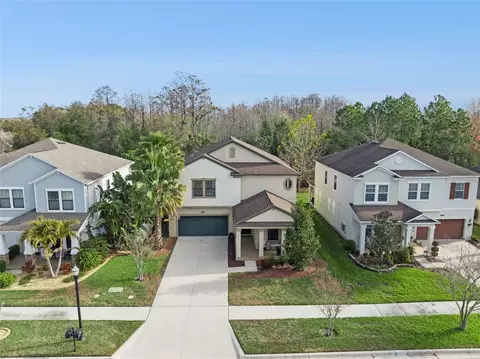 8816 Shady Pavillion Ct, Land O Lakes, FL 34637