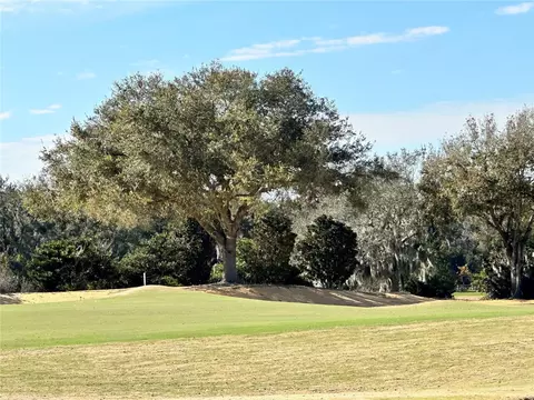 16339 Ravenna Ct, Bella Collina, FL 34756