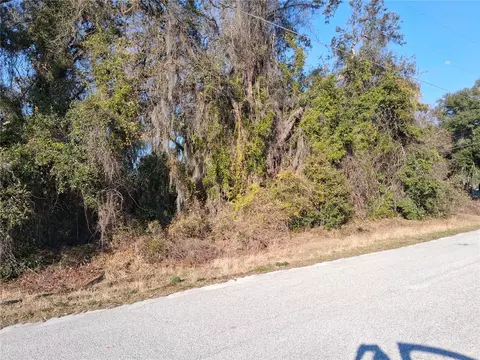 Mulberry Street, Groveland, FL 34736