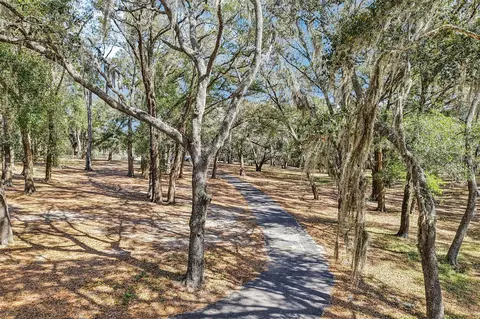 Other - 36530 Lazy B Ln, Eustis, FL 32736 photo 2 of 13