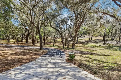 Exterior - 36530 Lazy B Ln, Eustis, FL 32736 photo 8 of 15