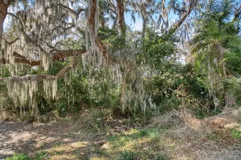 3 Rd St, Montverde, FL 34756