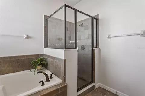 Bath - 30337 Gidran Ter, Mount Dora, FL 32757 photo 2 of 5