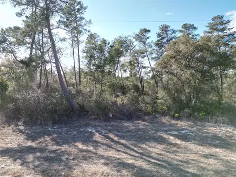 0000 SW 170th Loop, Ocala, FL 34473